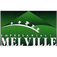 Logo de Melville Empresarial